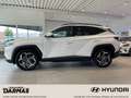 Hyundai TUCSON Tucson Plug-in-Hybrid  4WD Trend Navi LED TOP Wit - thumbnail 9