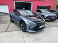 Lexus RZ RZ 450e AT AWD PRIVILEGE LINE PANODAK Сірий - thumbnail 2