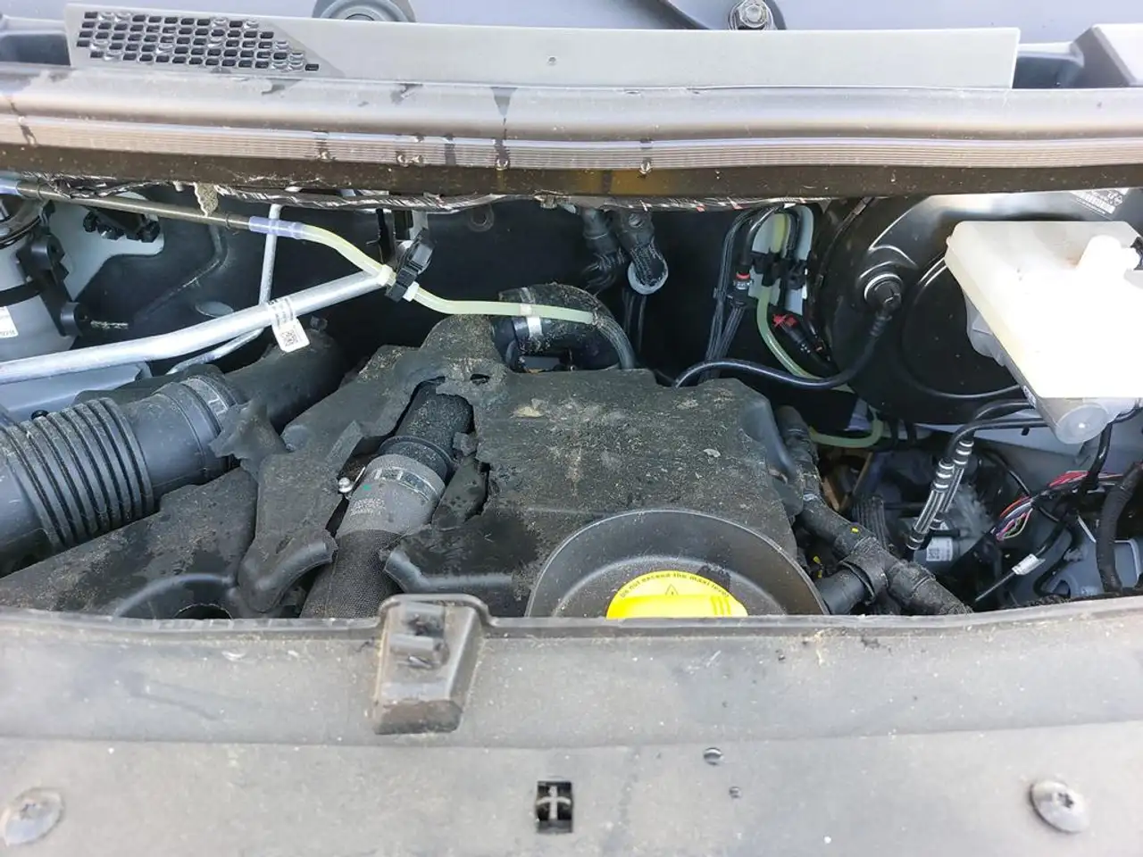 Renault Master verglast L2H2 HKa 3,5 Komfort 5