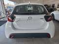 Mazda 2 1.5 vvt full hybrid 115cv Prime Line-€ 199/mese Bianco - thumbnail 7