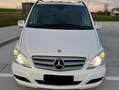 Mercedes-Benz Viano Viano 3.0 CDI lang Automatik Ambiente Edition Weiß - thumbnail 3