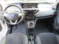 Lancia Ypsilon 1.2 69 CV 5 porte Gold *OK NEOPATENTATI !! Blanc - thumbnail 11