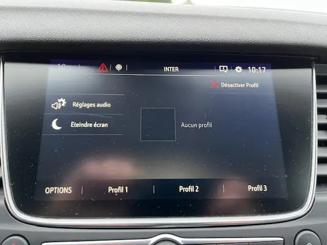 Opel Grandland view 13