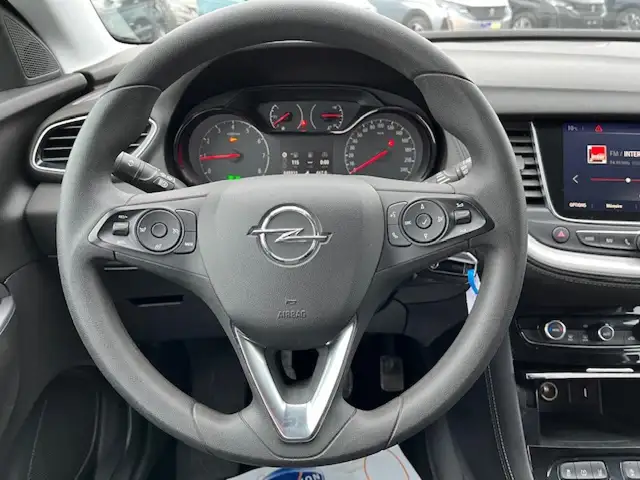 Opel Grandland view 8