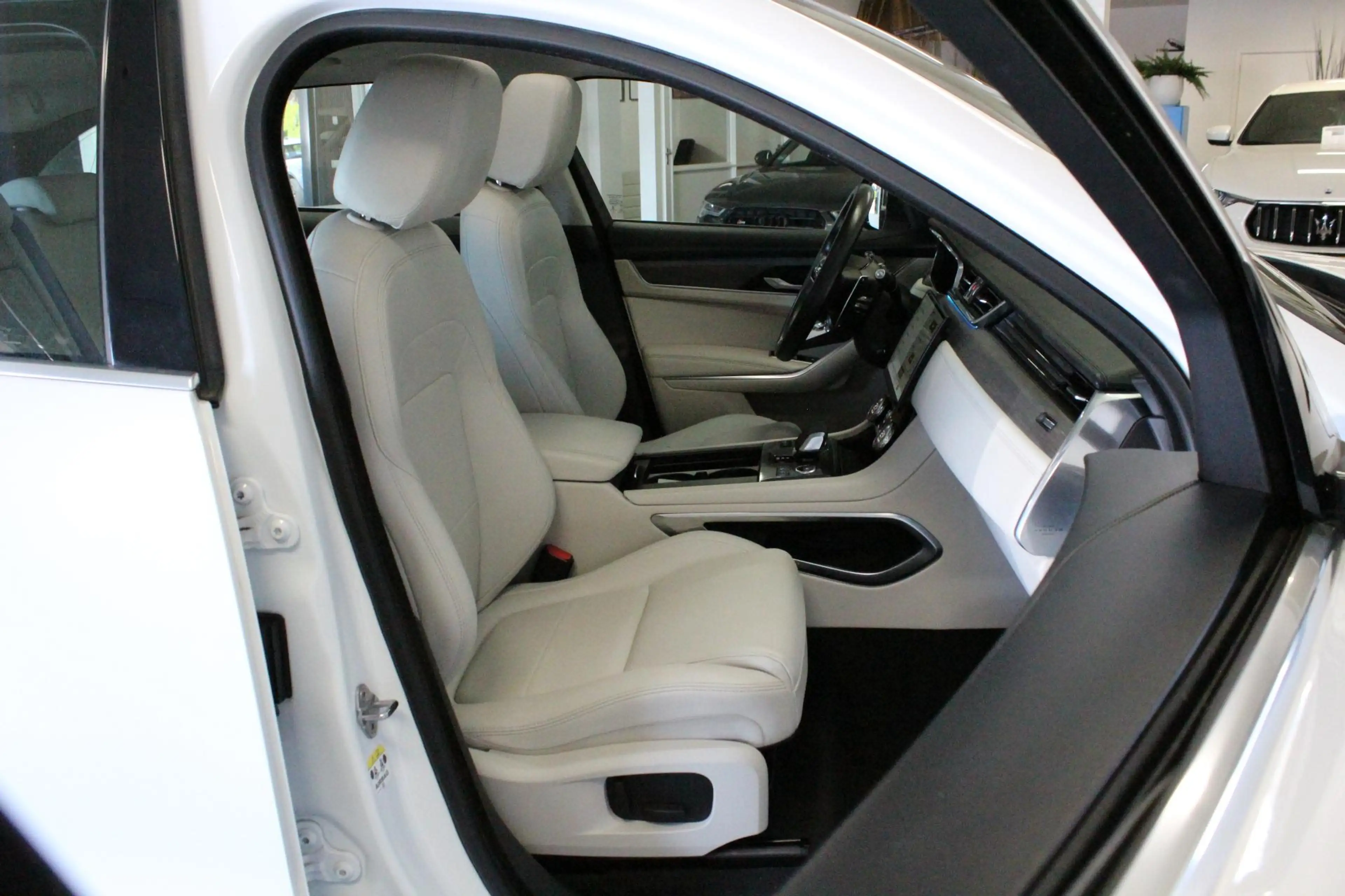 Jaguar F-Pace 2.0 P400e PHEV R-Dynamic S | TOP-STAAT! | PANO | C — photo 19