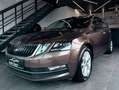 Skoda Octavia Style*1.Besitz*Navi*Spur*ACC*AHK*SHZ*Pickerl NEU* Braun - thumbnail 1