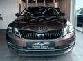 Skoda Octavia Style*1.Besitz*Navi*Spur*ACC*AHK*SHZ*Pickerl NEU* Braun - thumbnail 2