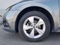 Skoda Octavia Octavia Wagon 2.0 tdi evo Executive 115cv Argento - thumbnail 6