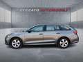 Skoda Octavia Octavia Wagon 2.0 tdi evo Executive 115cv Argento - thumbnail 2
