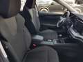 Skoda Octavia Octavia Wagon 2.0 tdi evo Executive 115cv Argento - thumbnail 24