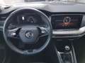 Skoda Octavia Octavia Wagon 2.0 tdi evo Executive 115cv Argento - thumbnail 7