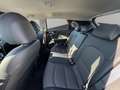 Kia Ceed / cee'd Spirit 1.5 T-GDI NAVI+KAMERA+LED+ACC+KEYLESS+PDC Bianco - thumbnail 10