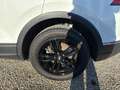 Volkswagen Tiguan 2.0 TDI Life 4Motion CarPlay/Black/AHK Weiß - thumbnail 20