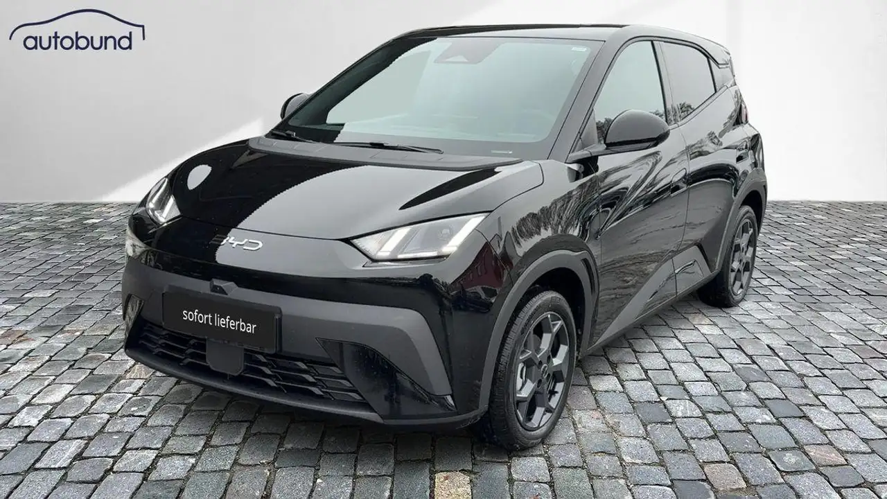BYD Dolphin Surf 2026