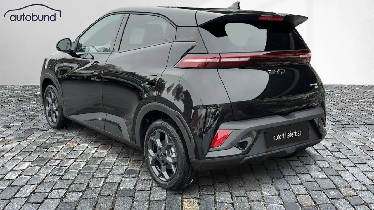 BYD Dolphin Surf 2026