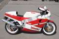 Bimota YB 6 - thumbnail 7