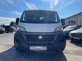 Fiat Ducato 140 L4 Kipper RS: 4035 mm Weiß - thumbnail 2