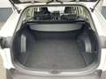 Toyota RAV 4 2.0 VVT-iE Business | Benzine hangeschakeld | 2000 Blanc - thumbnail 12