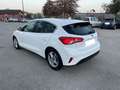 Ford Focus Focus 1.5 EcoBlue 95 S Blanc - thumbnail 3