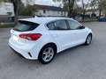 Ford Focus Focus 1.5 EcoBlue 95 S Blanc - thumbnail 4