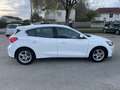 Ford Focus Focus 1.5 EcoBlue 95 S Blanc - thumbnail 5
