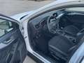 Ford Focus Focus 1.5 EcoBlue 95 S Blanc - thumbnail 12