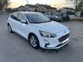 Ford Focus Focus 1.5 EcoBlue 95 S Blanc - thumbnail 14