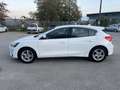 Ford Focus Focus 1.5 EcoBlue 95 S Blanc - thumbnail 2