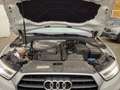 Audi Q3 sport Ultra*1-HAND*MEGA SCHÖN*MEGA VOLL Bianco - thumbnail 19