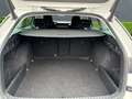 Skoda Octavia Combi First Edition 2.0 TDI+Anhängerkupplung+Navi Weiß - thumbnail 5