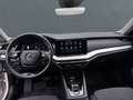 Skoda Octavia Combi First Edition 2.0 TDI+Anhängerkupplung+Navi Weiß - thumbnail 7