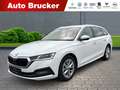 Skoda Octavia Combi First Edition 2.0 TDI+Anhängerkupplung+Navi Weiß - thumbnail 1