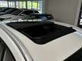 Seres Seres 3 52kWh [ DEALER I Cruise Control | Climate Control Weiß - thumbnail 11
