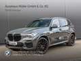 BMW X5 xDrive40i M Sportpaket HUD 360° ACC GSD 1VB Gris - thumbnail 1