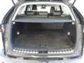 Lexus NX 300 300h Luxury 4WD Negro - thumbnail 15