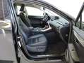 Lexus NX 300 300h Luxury 4WD Negro - thumbnail 9