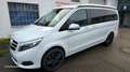 Mercedes-Benz Marco Polo V 250 CDI Lang Marco Polo HORIZON EDITION 4x4 Weiß - thumbnail 5