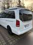 Mercedes-Benz Marco Polo V 250 CDI Lang Marco Polo HORIZON EDITION 4x4 Weiß - thumbnail 22