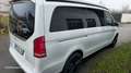 Mercedes-Benz Marco Polo V 250 CDI Lang Marco Polo HORIZON EDITION 4x4 Weiß - thumbnail 2