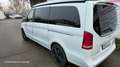 Mercedes-Benz Marco Polo V 250 CDI Lang Marco Polo HORIZON EDITION 4x4 Weiß - thumbnail 4