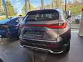 Lexus NX 350h E-FOUR F SPORT AHK/HUD Grau - thumbnail 3