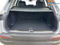 Audi Q5 AHK+ACC+RFK+19"ALU+NAVI TFSI 150 kW (204PS) 7-G... Plateado - thumbnail 10