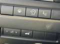 Nissan Qashqai Mild-Hybrid 158 Xtronic Tekna Plus Blanc - thumbnail 12