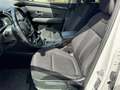 Hyundai TUCSON 1.6 CRDI 115 CV  X-LINE 2WD NAVI+CERCHI+FULL LED Bianco - thumbnail 14