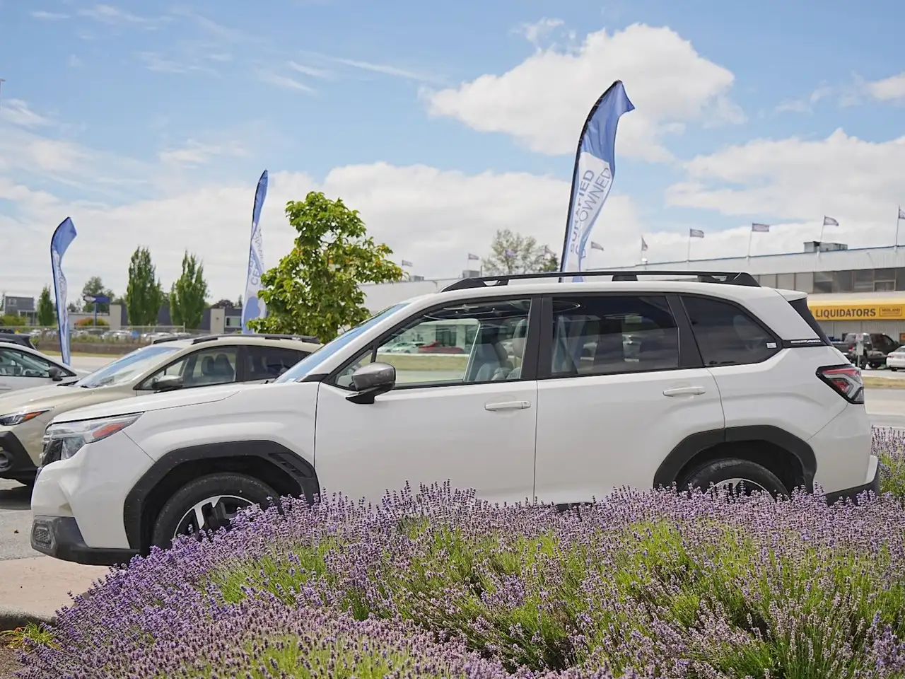 Subaru Forester снимка Subaru Forester