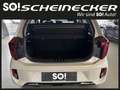 Kia Picanto 1,0 GDI Titan (5 Sitzer) Beige - thumbnail 6