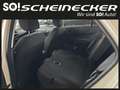 Kia Picanto 1,0 GDI Titan (5 Sitzer) Beige - thumbnail 8