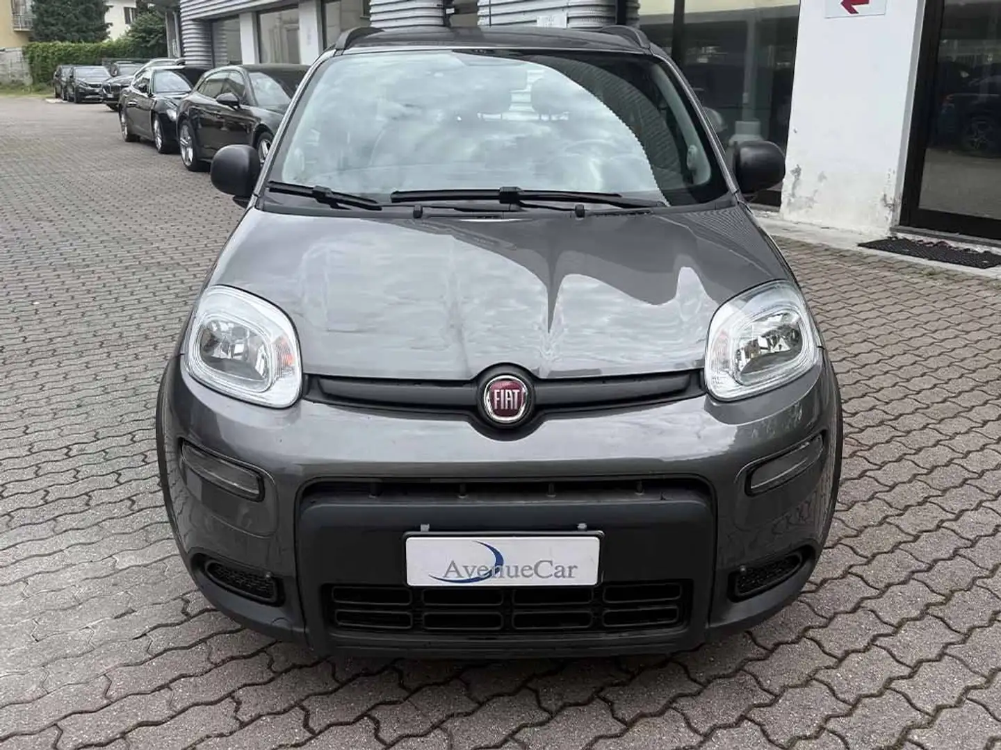 Fiat Panda 1.0 firefly hybrid City Life ADATTA A NEOPATENTATI Grigio - 2