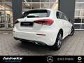 Mercedes-Benz A 200 A 200 Progressive PTS+RüKa LED MBUX-Premium Xenon Weiß - thumbnail 4