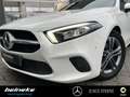 Mercedes-Benz A 200 A 200 Progressive PTS+RüKa LED MBUX-Premium Xenon Weiß - thumbnail 5